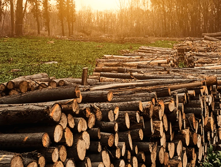 NA-Zh-Industry-Photo-vacuum-pressure-impregnation-for-wood-treatment-V5