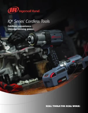 PTL-En-Product-Document-20v-lithium-ion-battery-bl2012