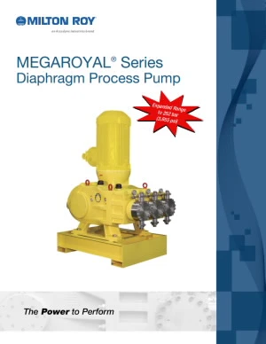 PTL-En-Product-Document-megaroyal-diaphragm-process-pump