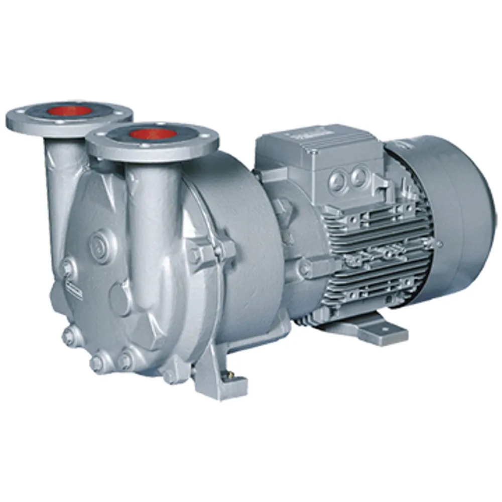 NA-En-Product-Photo-2av1-liquid-ring-vacuum-pumps