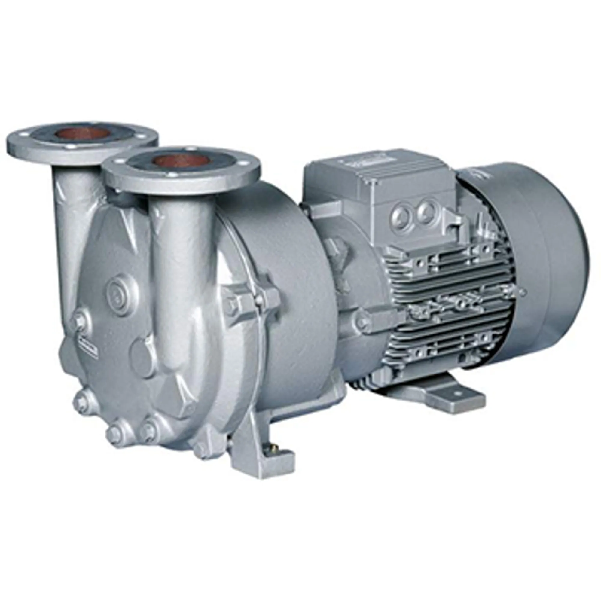 NA-En-Product-Photo-2bv5-monoblock-pump