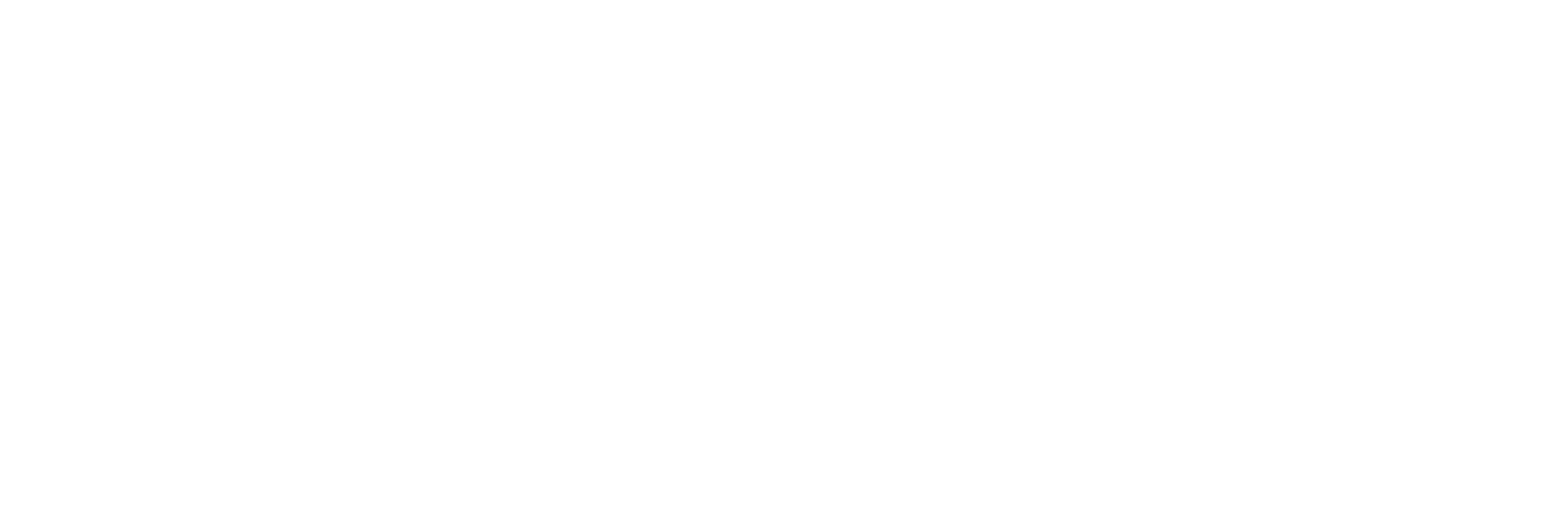 Runtech Logo White