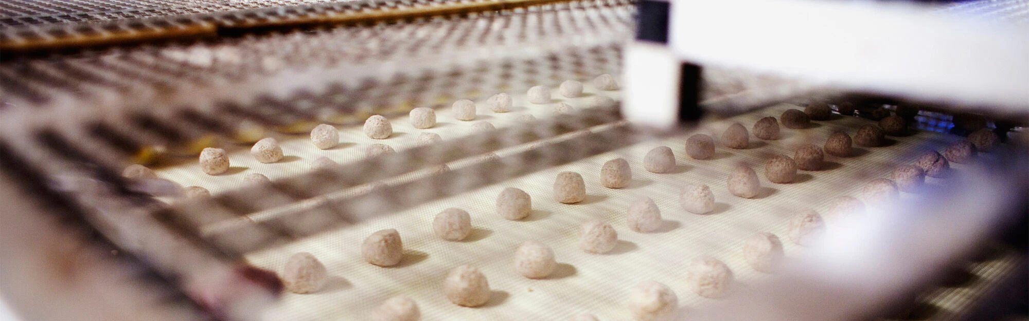 SEP-En-Application-Banner-a-customized-solution-for-the-baking-industry