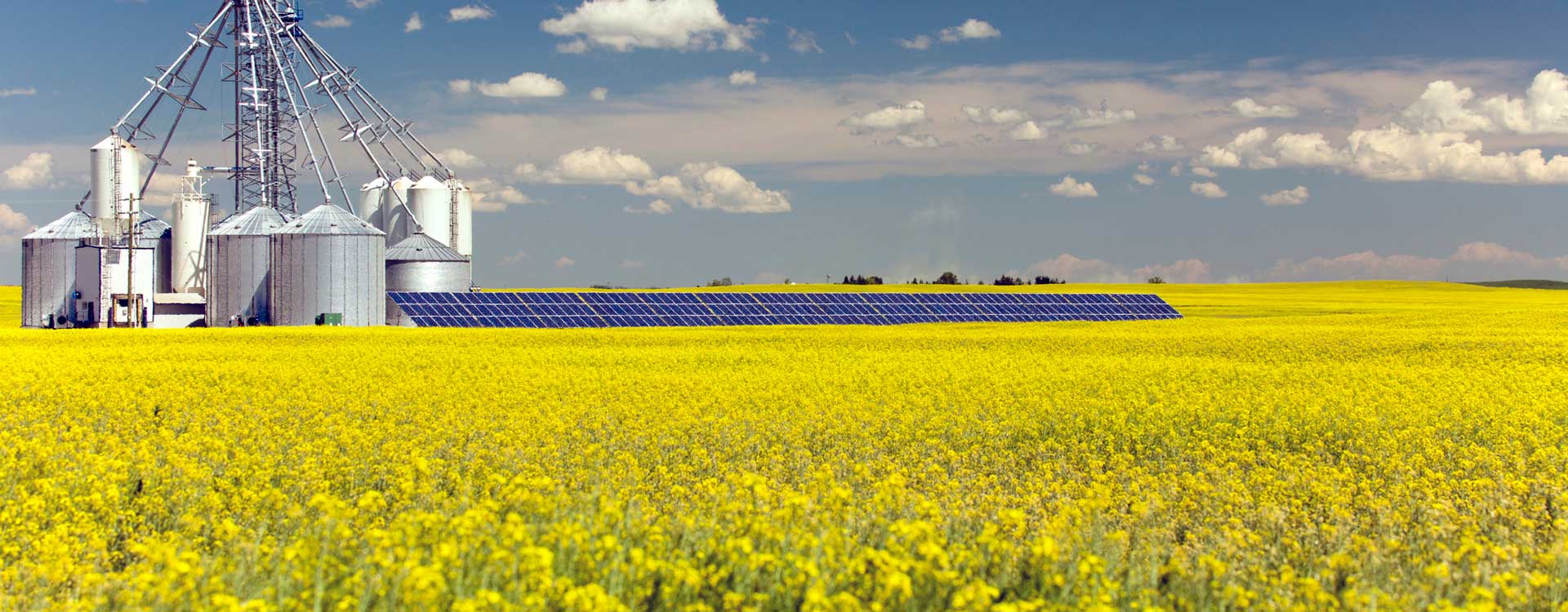 ALB-En-Application-Banner-agriculture-transfer-liquid-fertilizer-pumps