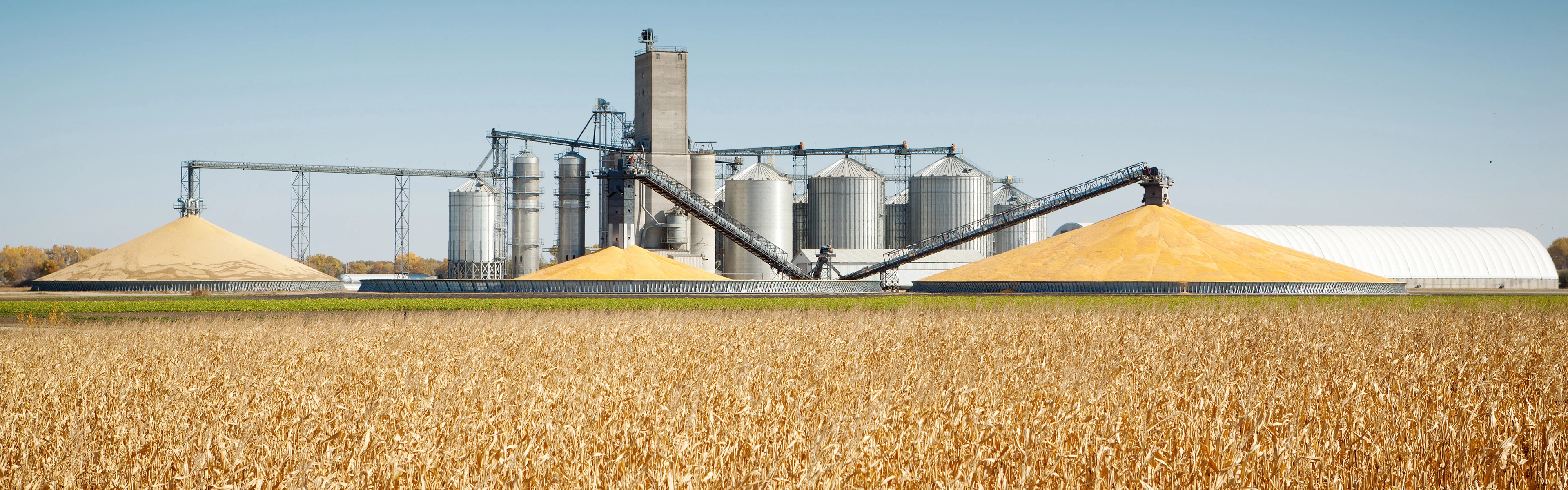 GDP-En-Industry-Banner-agriculture