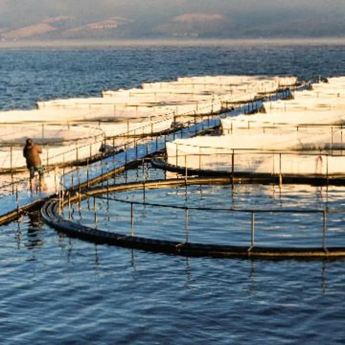 GDP-En-Industry-Photo-agriculture-V1