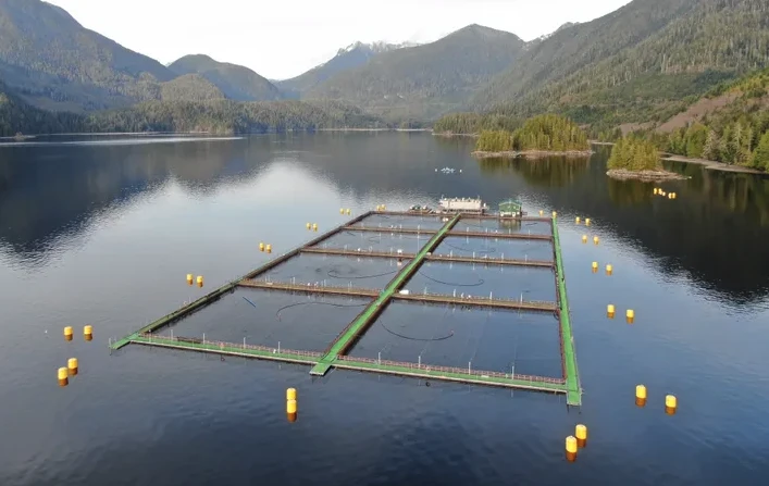 IRP-En-Application-Photo-aquaculture