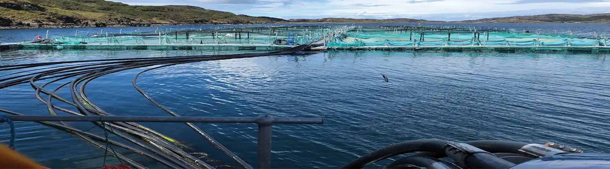 RO-En-Application-Banner-aquaculture