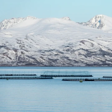 IRP-En-Application-Photo-aquaculture-compressed-air-solution