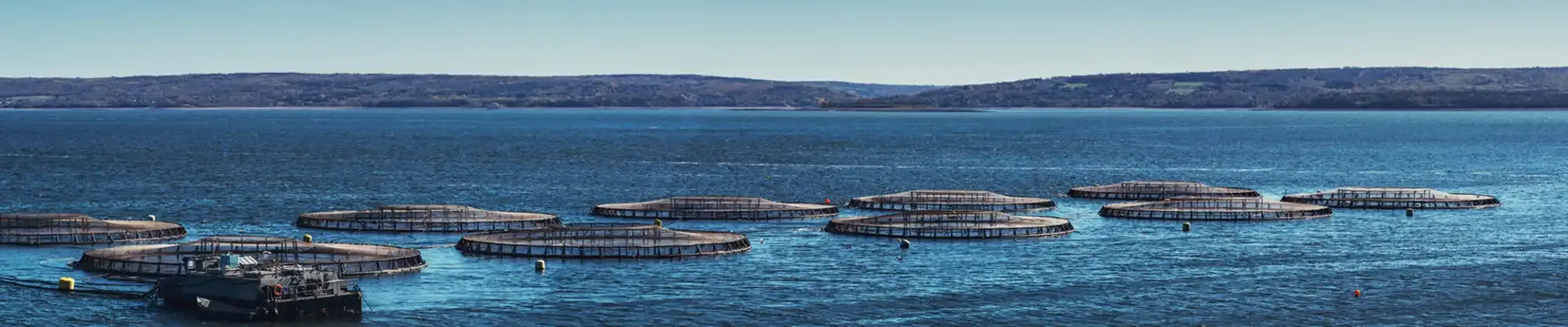 GDP-En-Industry-Banner-aquaculture