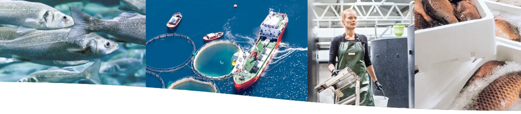 RO-En-Application-Photo-aquaculture-V3