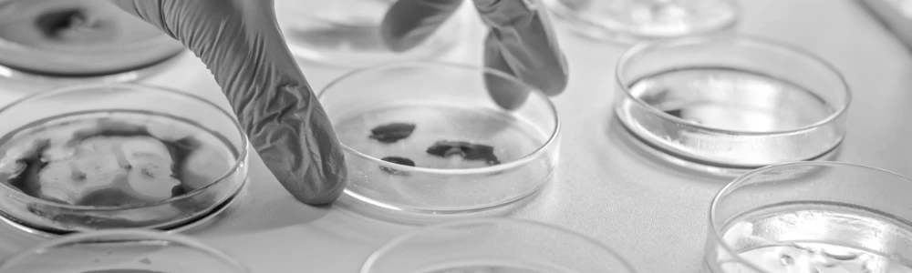 TH-En-Application-Banner-bio-pharmaceutical