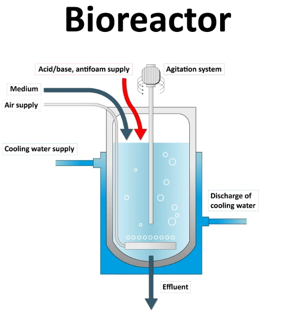 TH-En-Application-Chart-bioprocessing-fermentation