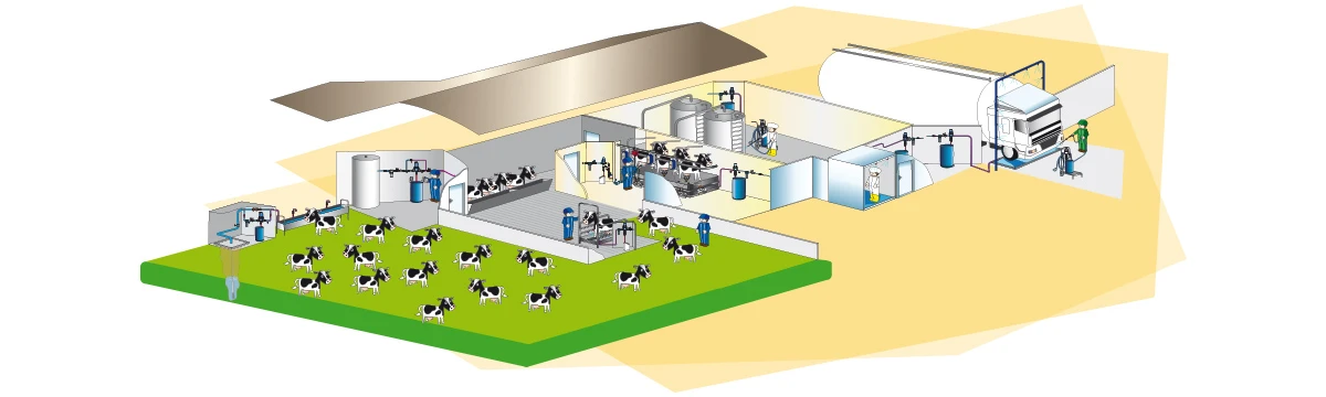 DT-En-Application-Photo-cattle-farming