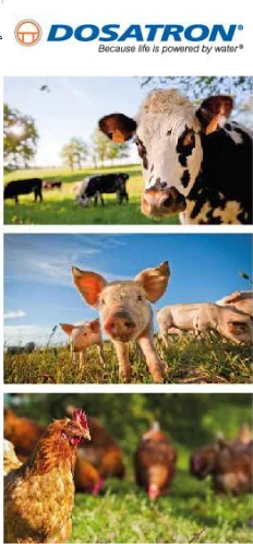 DT-En-Application-Photo-cattle-farming-V5