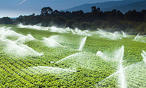 SEP-En-Application-Photo-complete-system-for-green-waste-transfer-and-draining