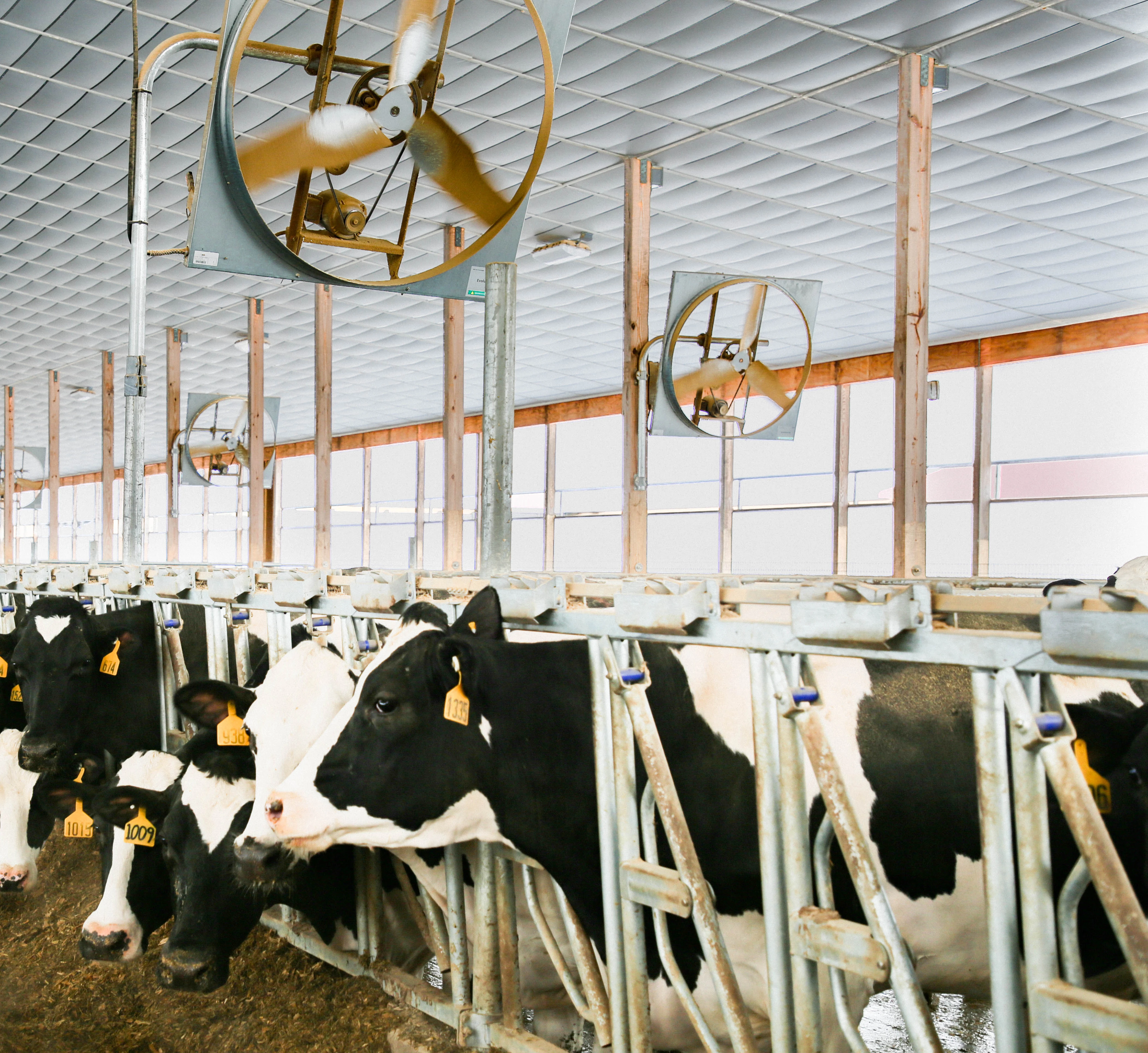 MAX-En-Product-Photo-dairy-management-V4