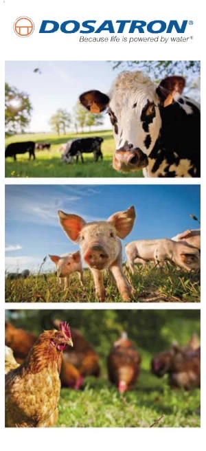 DT-En-Product-Document-cattle-farming-V1
