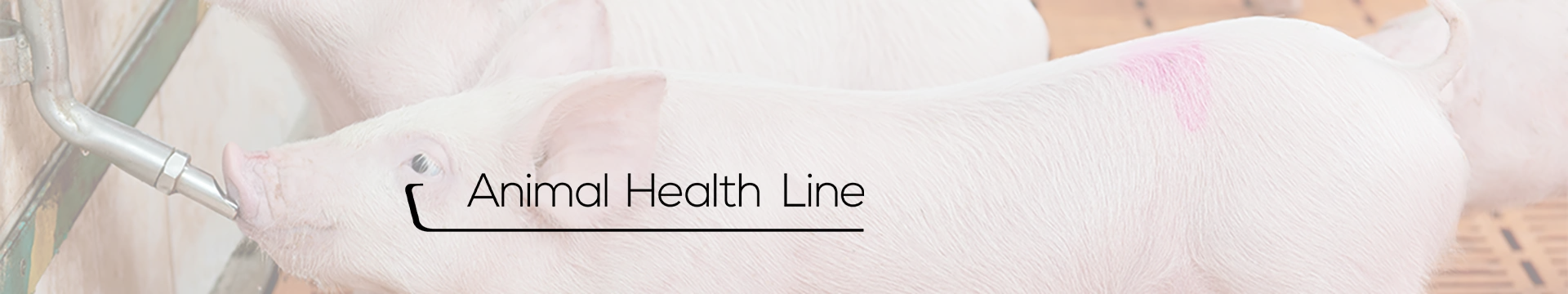 DT-En-Product-Banner-dosing-pumps-for-animal-health