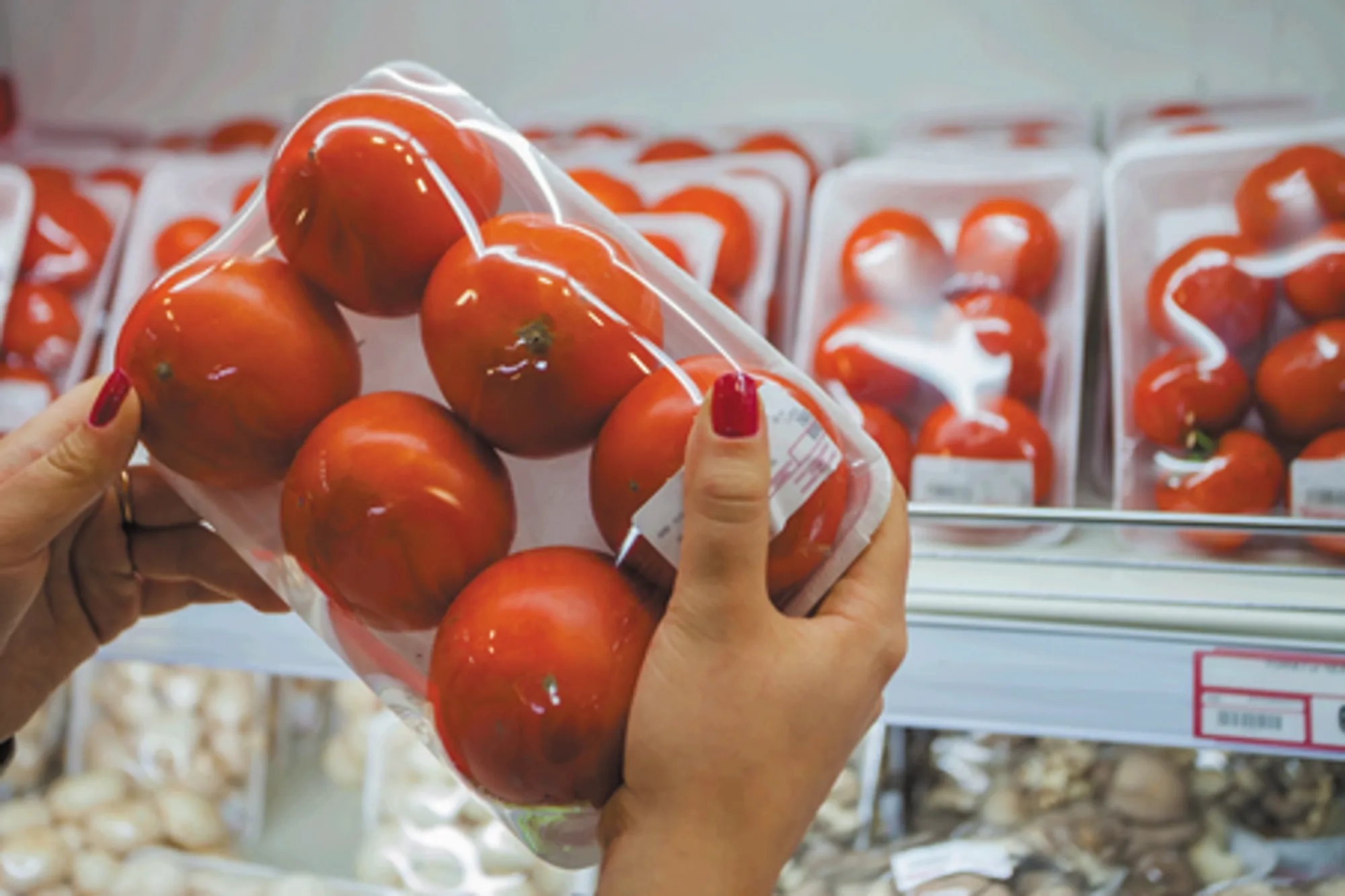 ER-En-Application-Photo-elmo-rietschle-seals-the-deal-with-haccp-standard-vacuum-pump-enclosure-for-proseal-V2