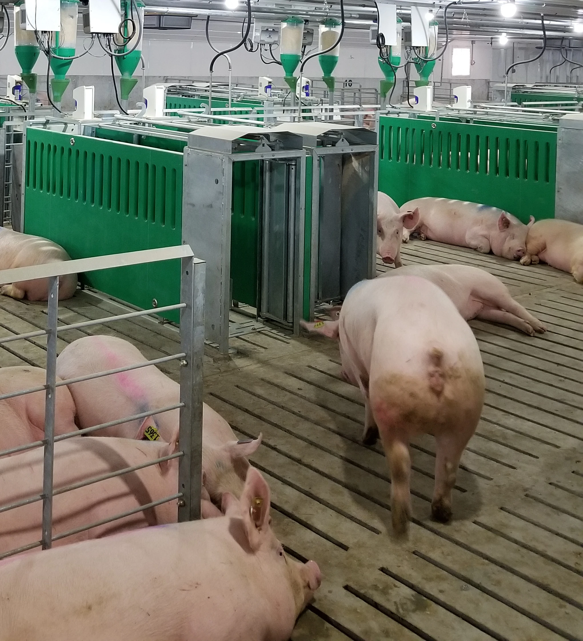 MAX-En-Product-Photo-farm-management-V5