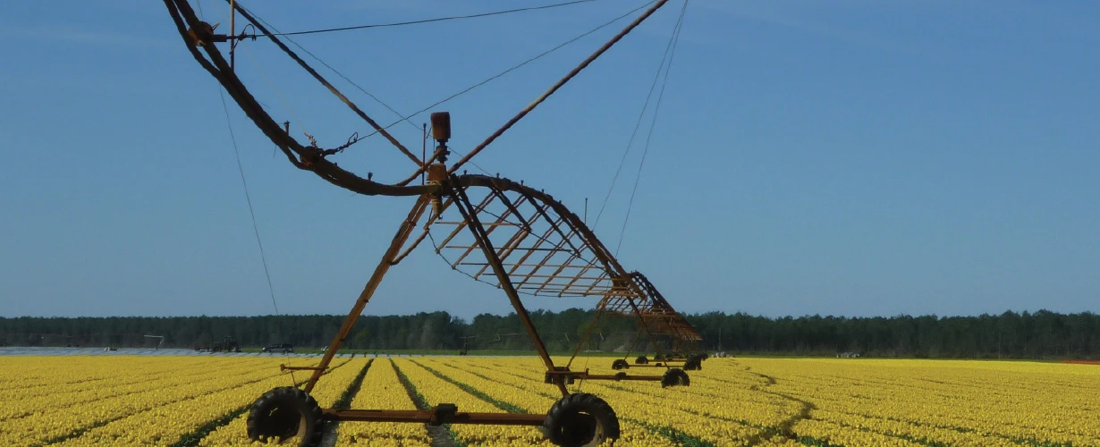 DT-En-Product-Photo-field-crop-cultivation