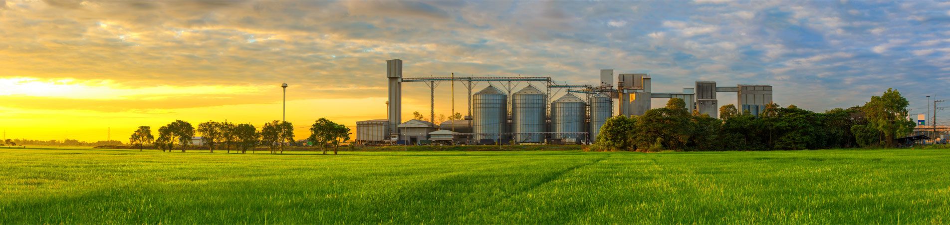 NA-En-Industry-Banner-food-and-beverage