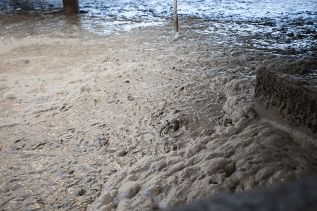 HL-En-Industry-Photo-froth-floation