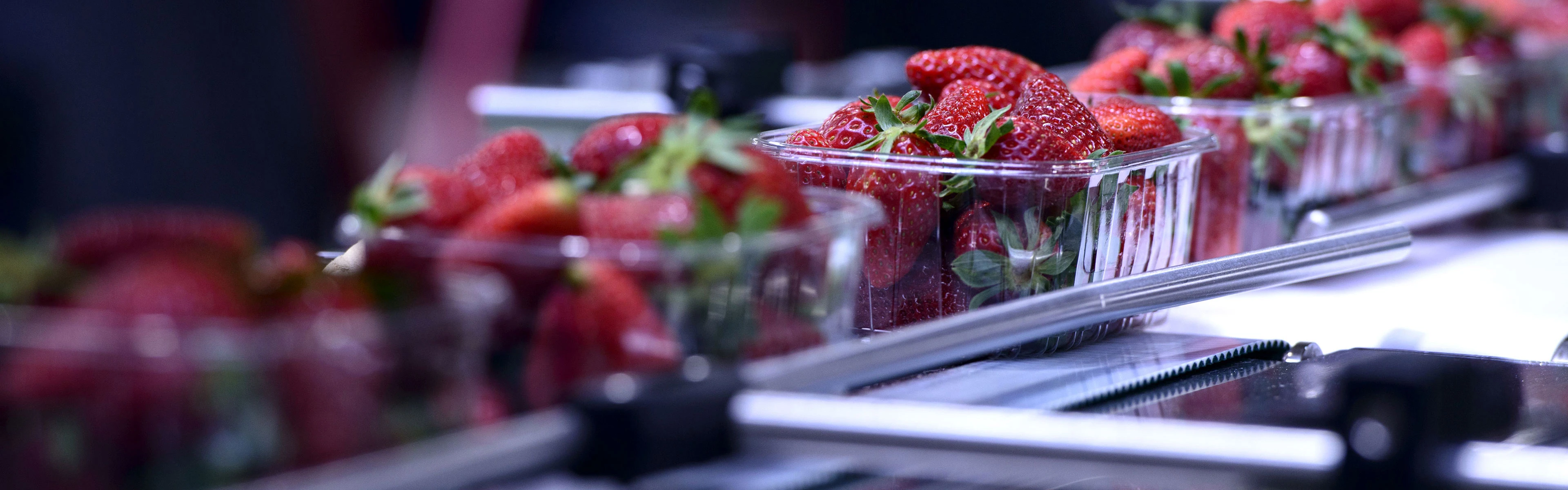 SEP-En-Application-Banner-fruit-and-vegetables