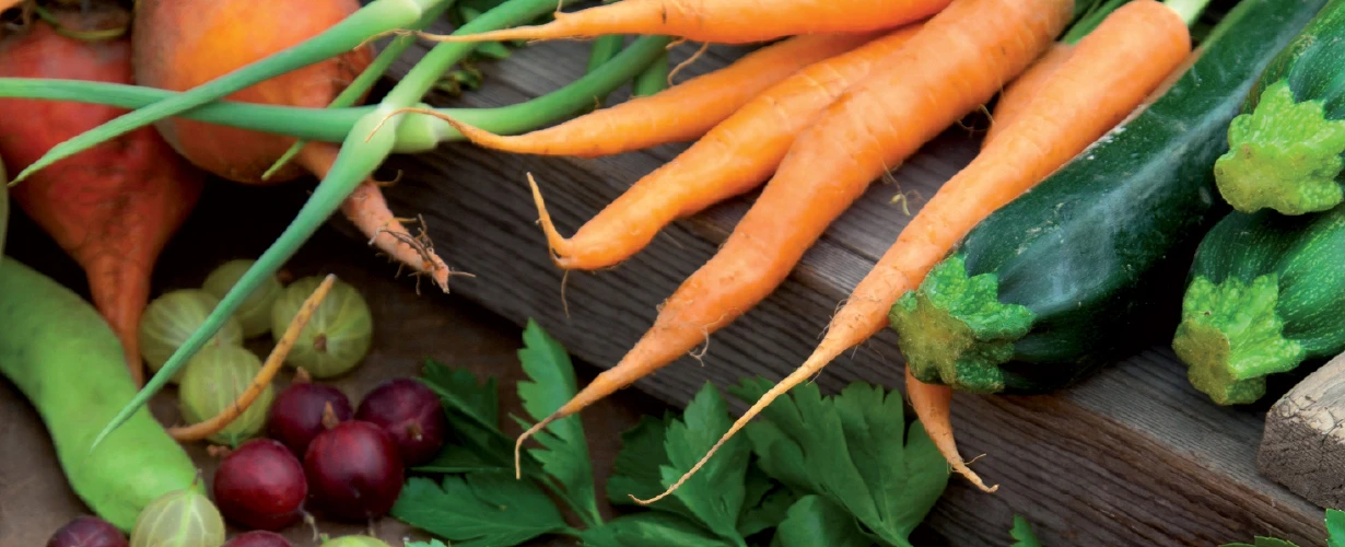 DT-En-Product-Photo-fruit-vegetable-production