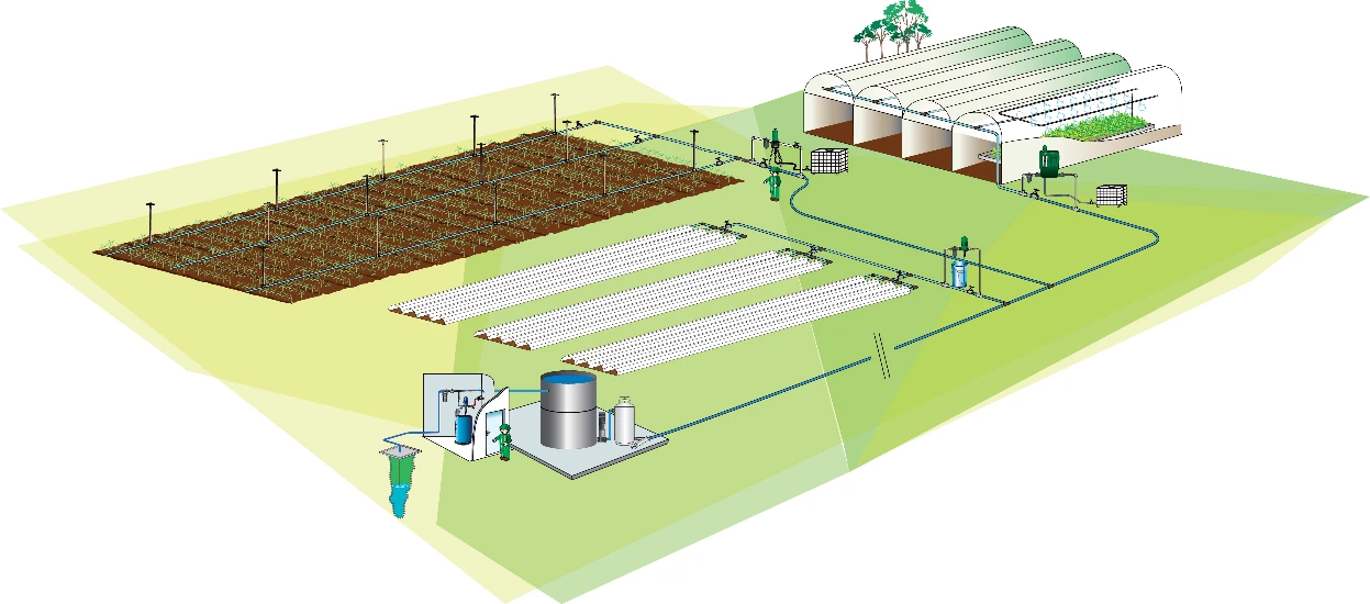 DT-En-Product-Photo-fruit-vegetable-production-V2