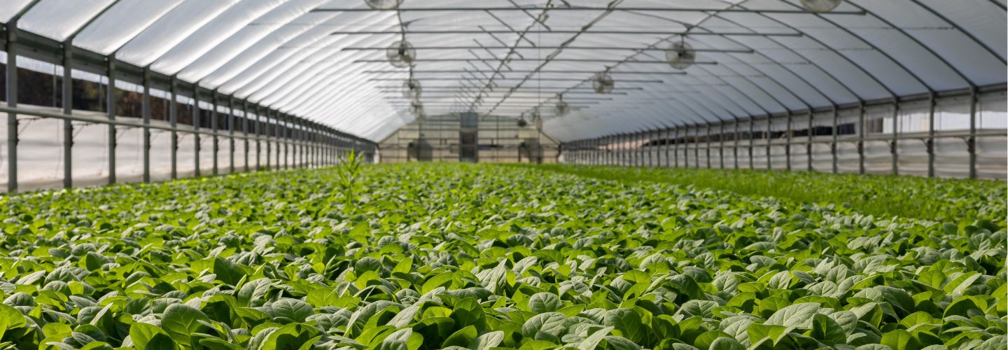 MAX-En-Product-Banner-greenhouse-management
