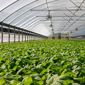 MAX-En-Application-Photo-greenhouse-management-V5
