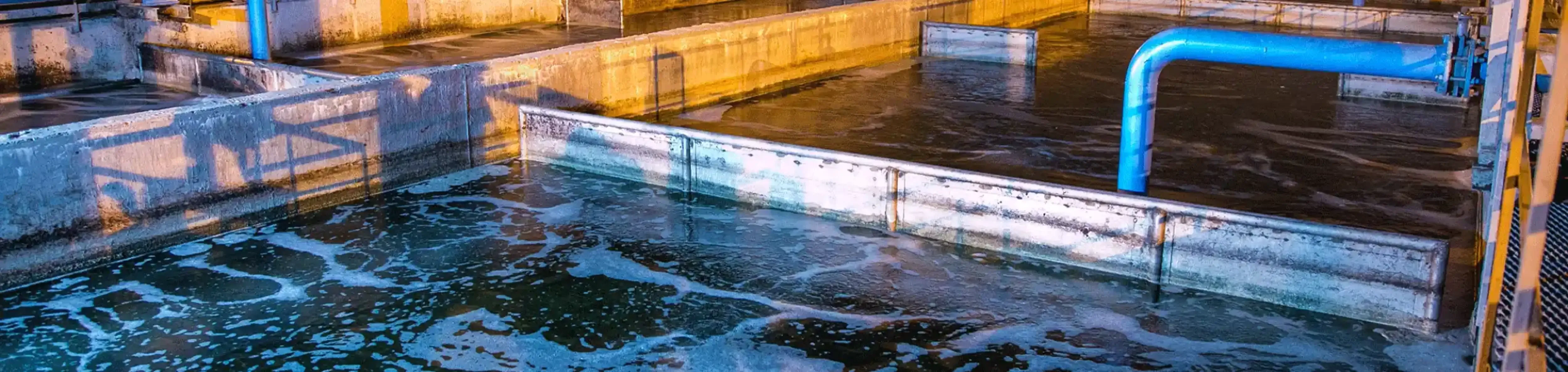 HL-En-Product-Banner-home