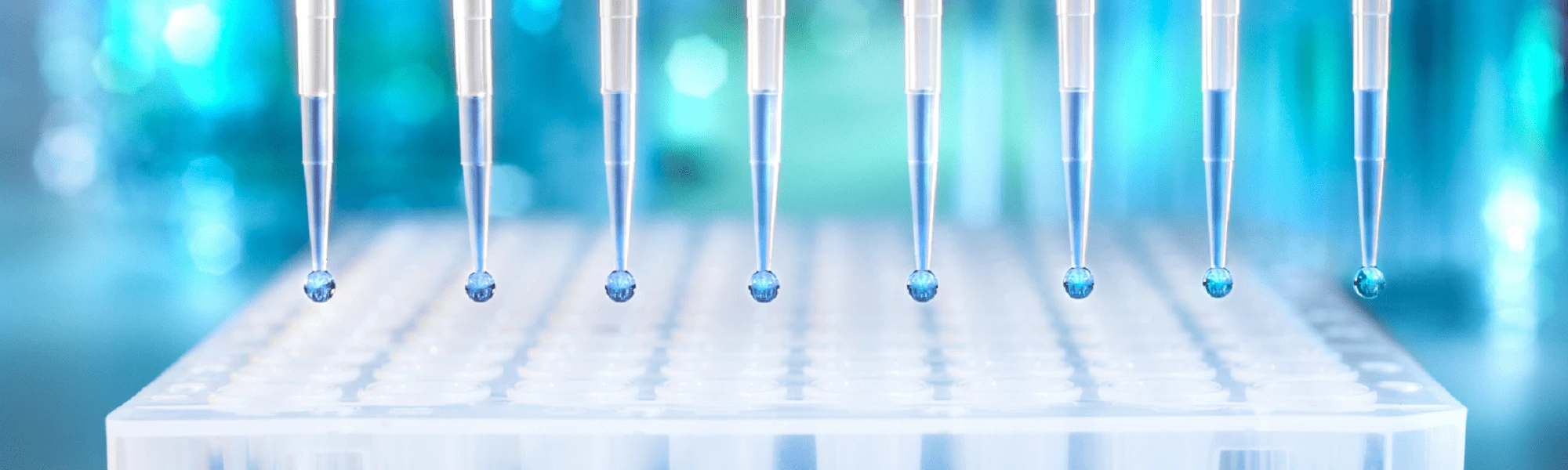 TC-En-Product-Banner-in-vitro-diagnostic-instruments