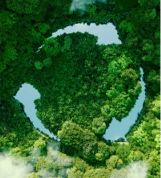 TH-En-Application-Chart-innovative-approach-to-packaging-gives-sustainability-a-new-meaning