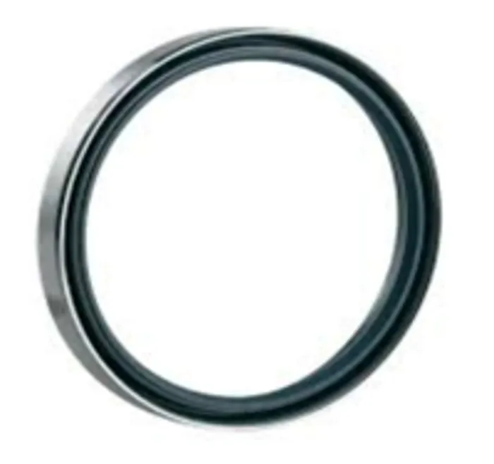 RO-En-Product-Photo-input-shaft-seal-rbs-115-125-126-rb1628200954
