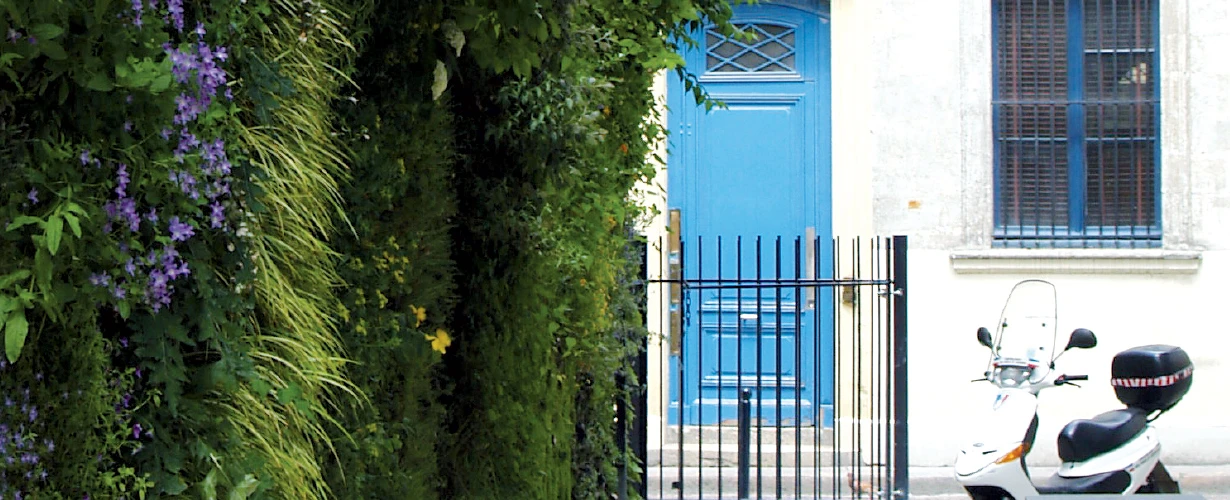 DT-En-Product-Photo-landscaping