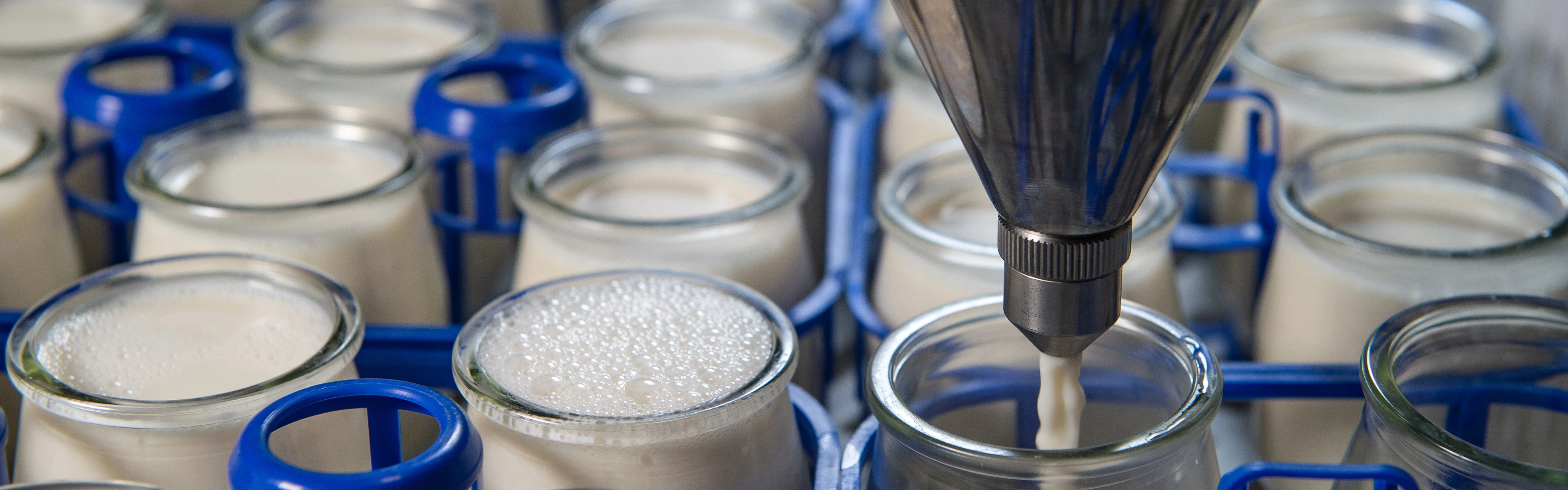 SEP-En-Application-Banner-milk-and-dairy