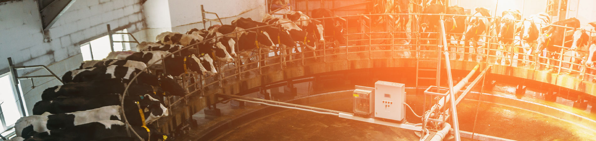 NA-En-Industry-Banner-milking-systems
