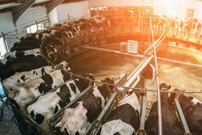 NA-En-Industry-Photo-milking-systems