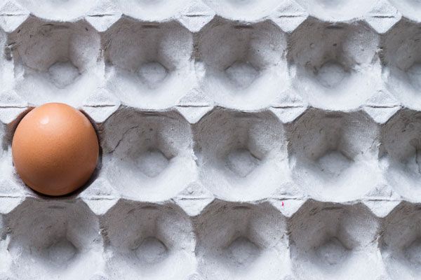 NA-En-Industry-Banner-molded-fiber