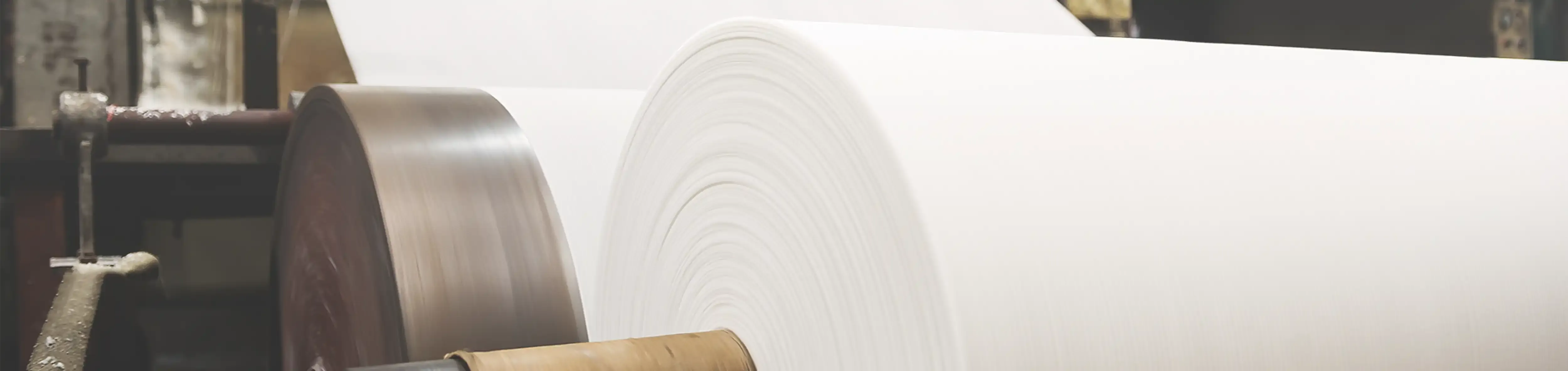 NA-En-Application-Banner-paper-audit