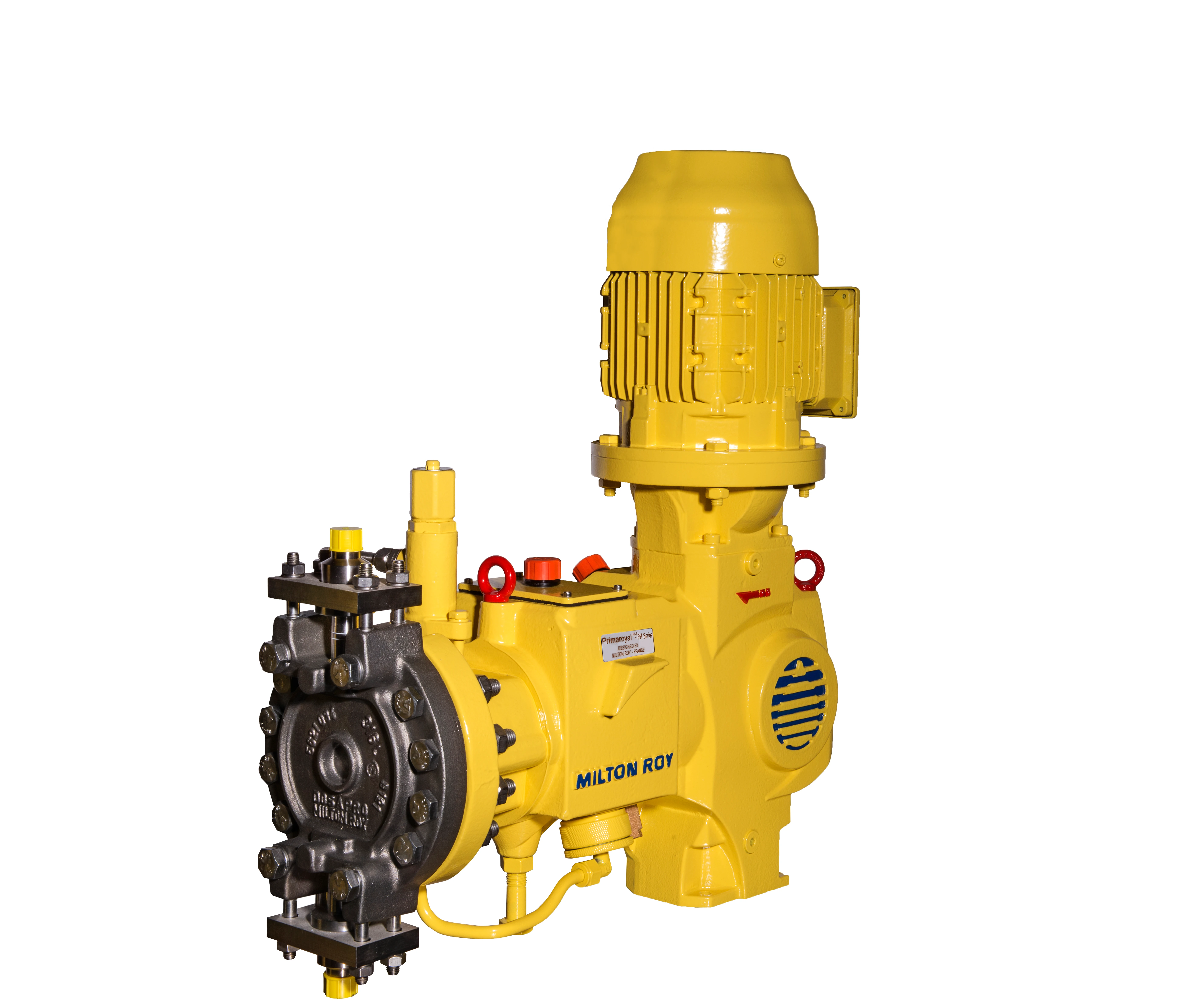 MR-En-Product-Photo-ph-model