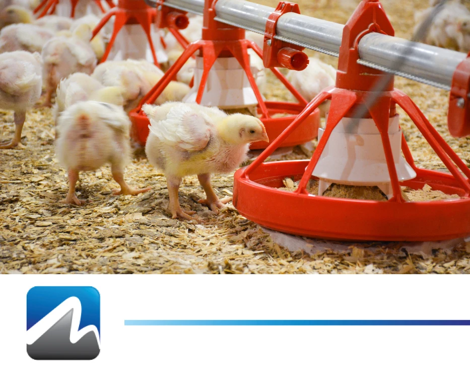 MAX-En-Product-Photo-poultry-feed-management