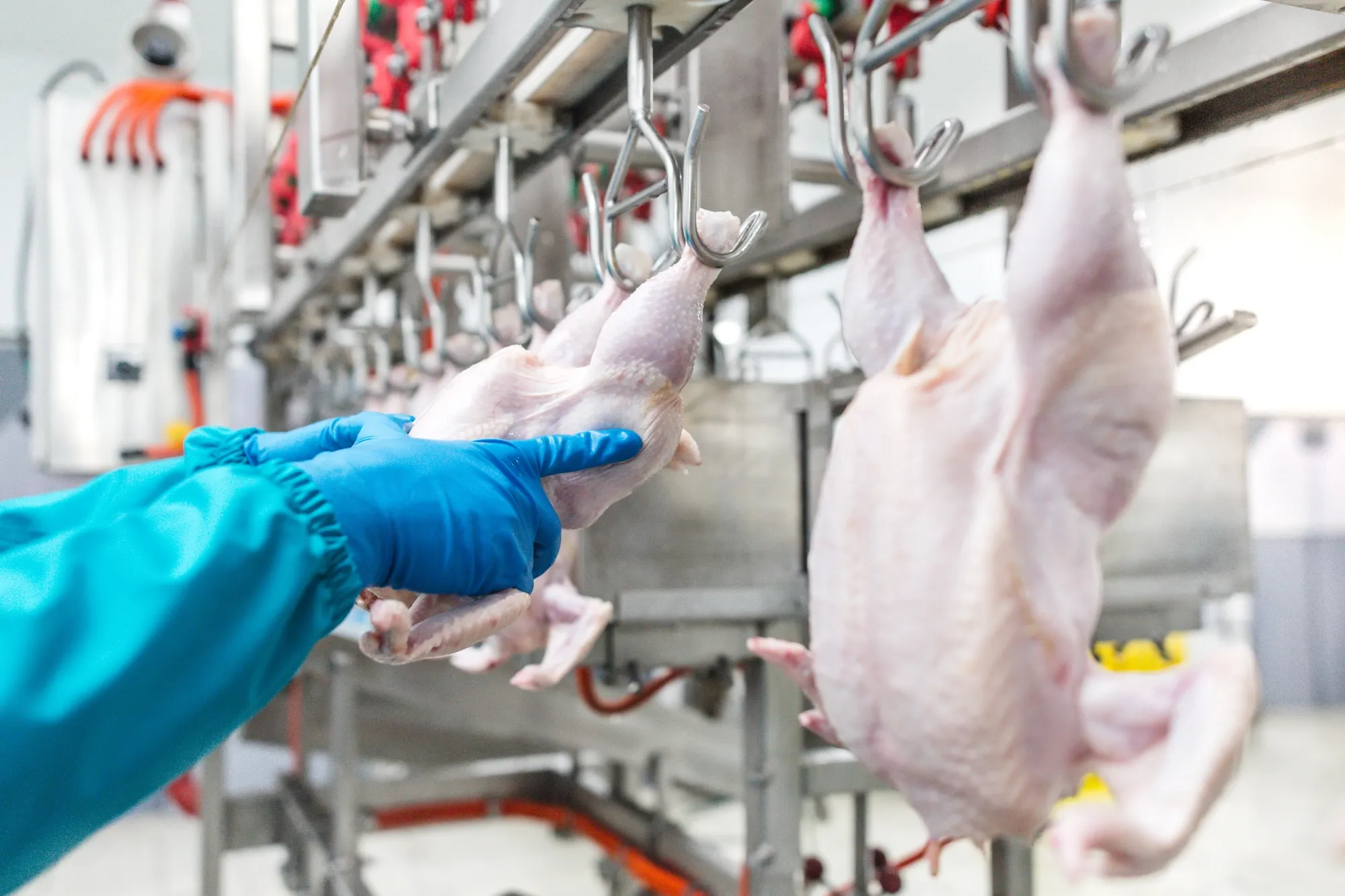 NA-En-Industry-Chart-poultry-processing
