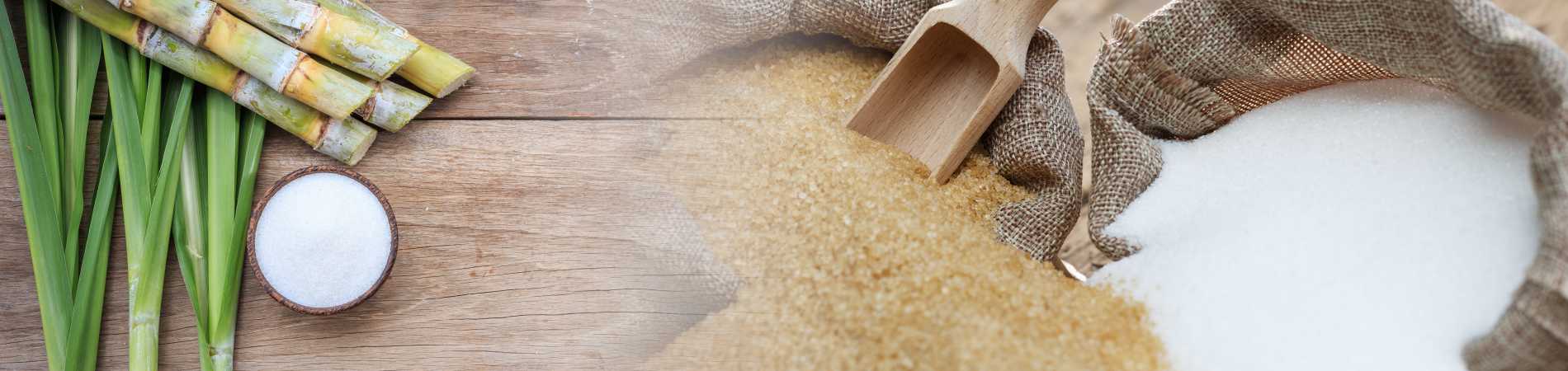 NA-En-Industry-Banner-sugar-production