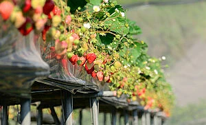 SEP-En-Application-Photo-superior-handling-and-high-tech-cleaning-for-milk-product