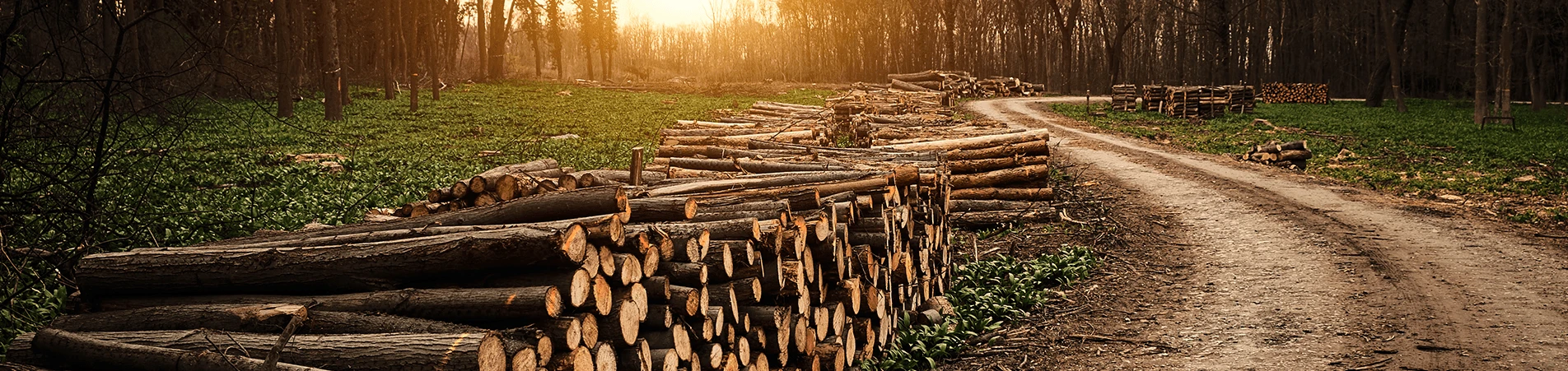 NA-En-Industry-Banner-vacuum-pressure-impregnation-for-wood-treatment