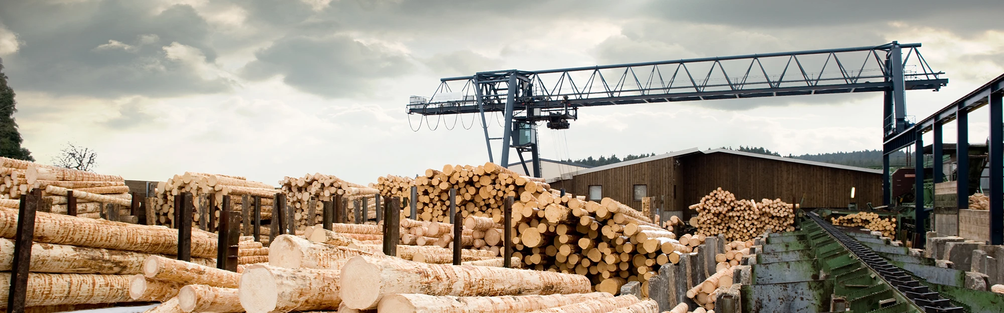 SEP-En-Application-Banner-wood-processing